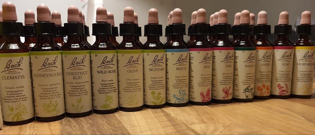 Bach Bloesemtherapie – natuurlijke ondersteuning, Persoonlijke ontwikkeling