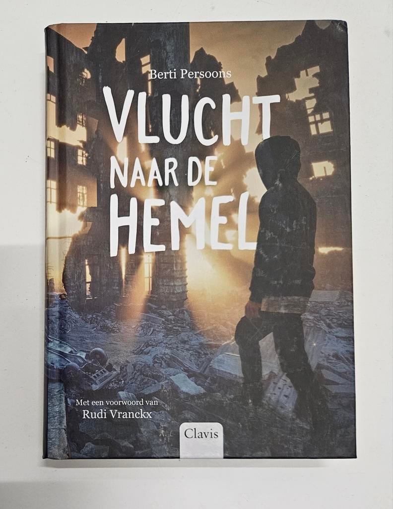 Berti Persoons - Vlucht naar de hemel, Boeken, Ophalen of Verzenden, Zo goed als nieuw, Berti Persoons