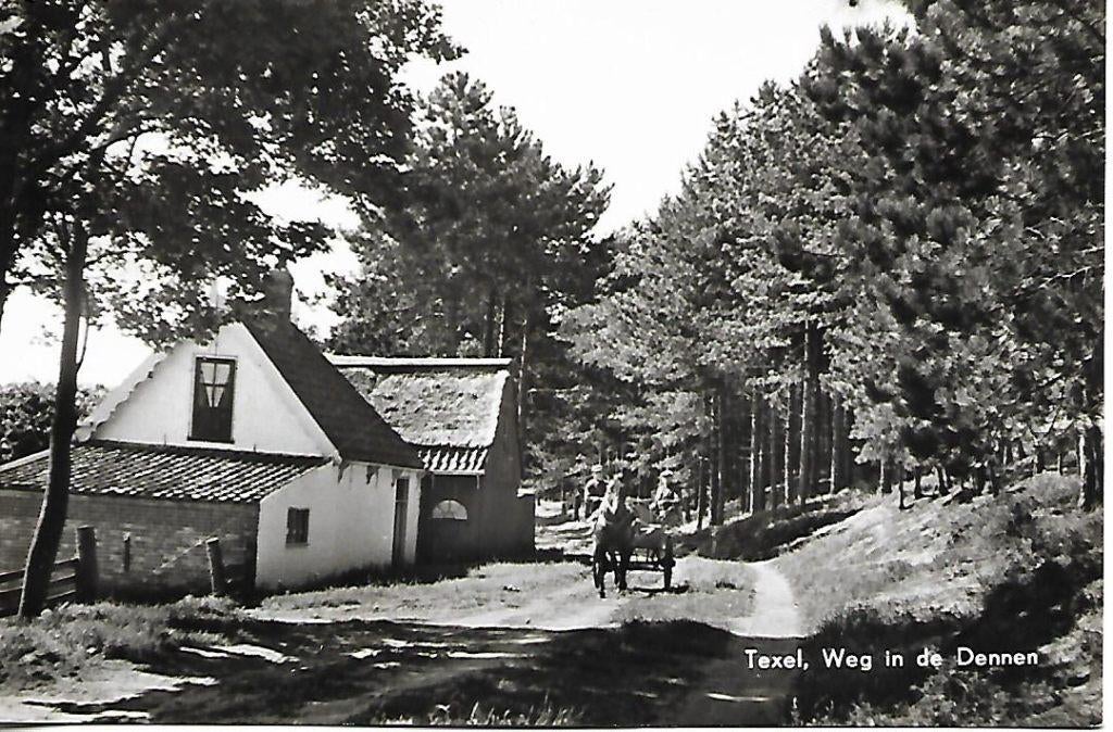 Texel- -Weg in de Dennen., Ophalen of Verzenden, 1960 tot 1980, Ongelopen, Waddeneilanden