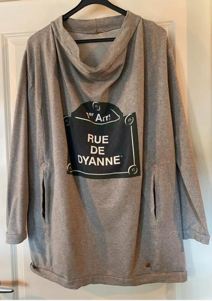 Grijze trui met 'Rue de Dyanne' print (Dyanne Beekman), Maat 42/44 (L), Ophalen of Verzenden, Grijs, Gedragen