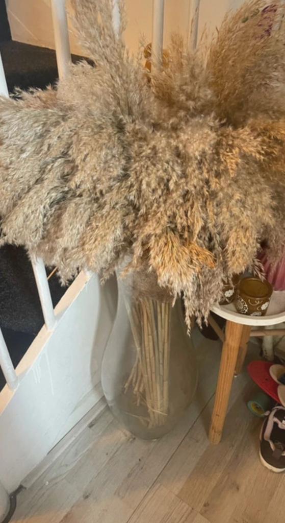 Vaas met droogbloemen/pampas, Ophalen, Zo goed als nieuw