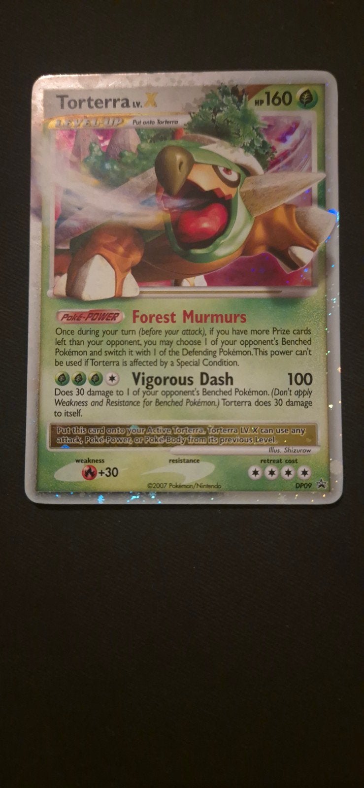 Torterra X DP09, Ophalen