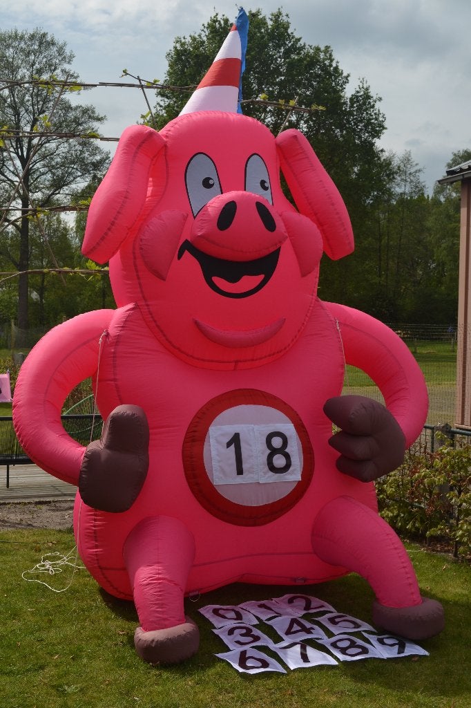 Leuk opvallende opblaasbare feestvarken met iedere leeftijd, Ophalen, Zo goed als nieuw, Verjaardag