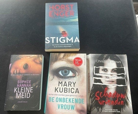 Thriller Boekenpakket, Boeken, Gelezen, Europa overig, Horst Enger, Sophie Hannah, Mary Kubica, Christine Drews, Ophalen of Verzenden