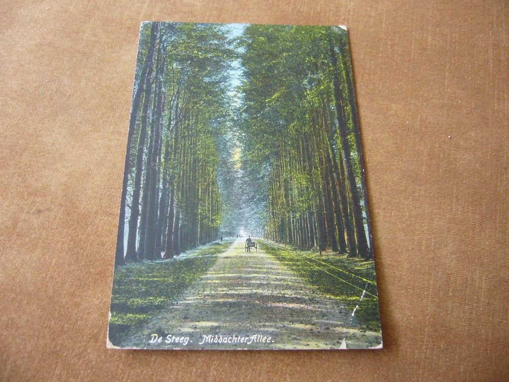 DE STEEG  =  MIDDACHTER ALLEE  1908, Ophalen of Verzenden, Voor 1920, Gelopen, Gelderland