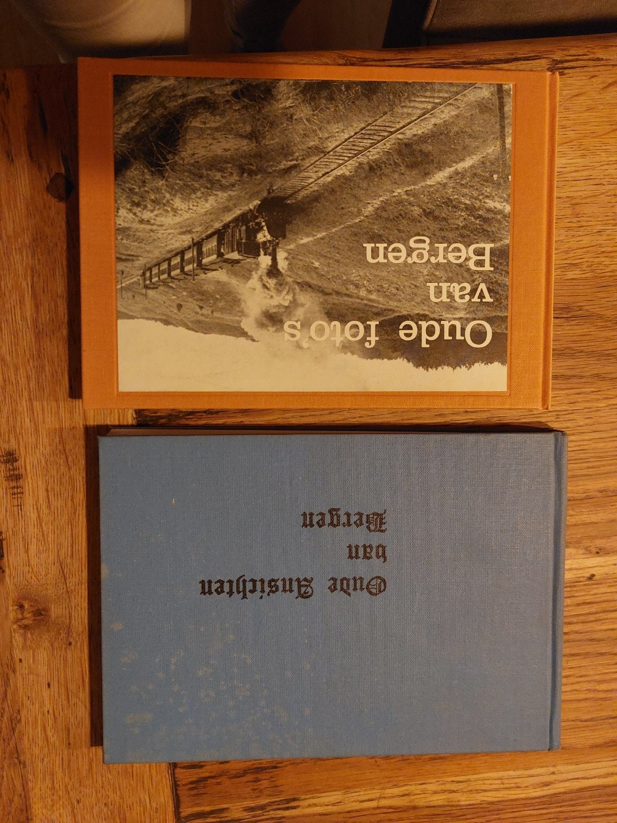 Oude foto's en ansichten van Bergen (2 boeken), Ophalen of Verzenden, 20e eeuw of later, Gelezen, Piet Moody, Henk Jellema, Alphons F. J. Leysen