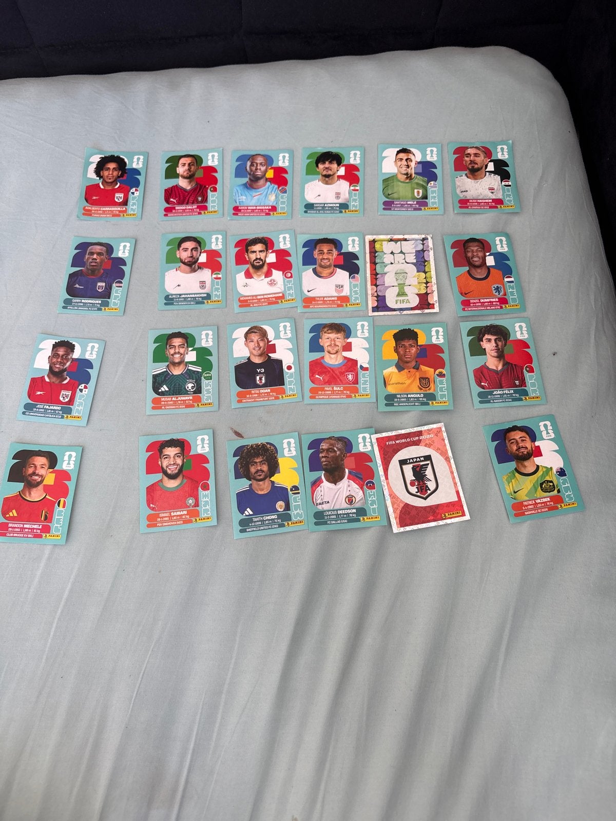 Panini FIFA World Cup Qatar 2022 Voetbalplaatjes, Ophalen, Zo goed als nieuw, Overige sporten, Poster, Plaatje of Sticker