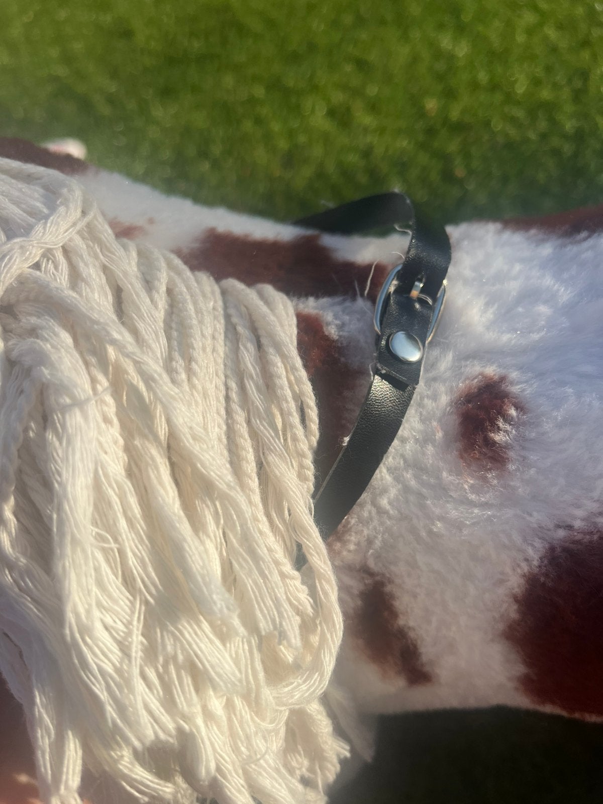 Hoofdstel crafty pony, Ophalen of Verzenden, Zo goed als nieuw, Paard