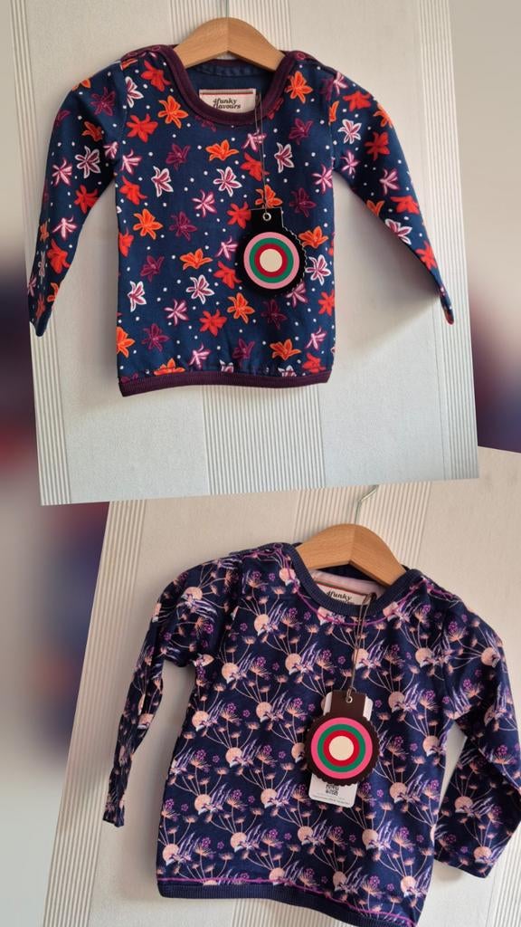Prachtige longsleeves van 4FF, maat 74-80 NIEUW, Jongetje of Meisje, Nieuw, Ophalen of Verzenden, 4 funky flavours