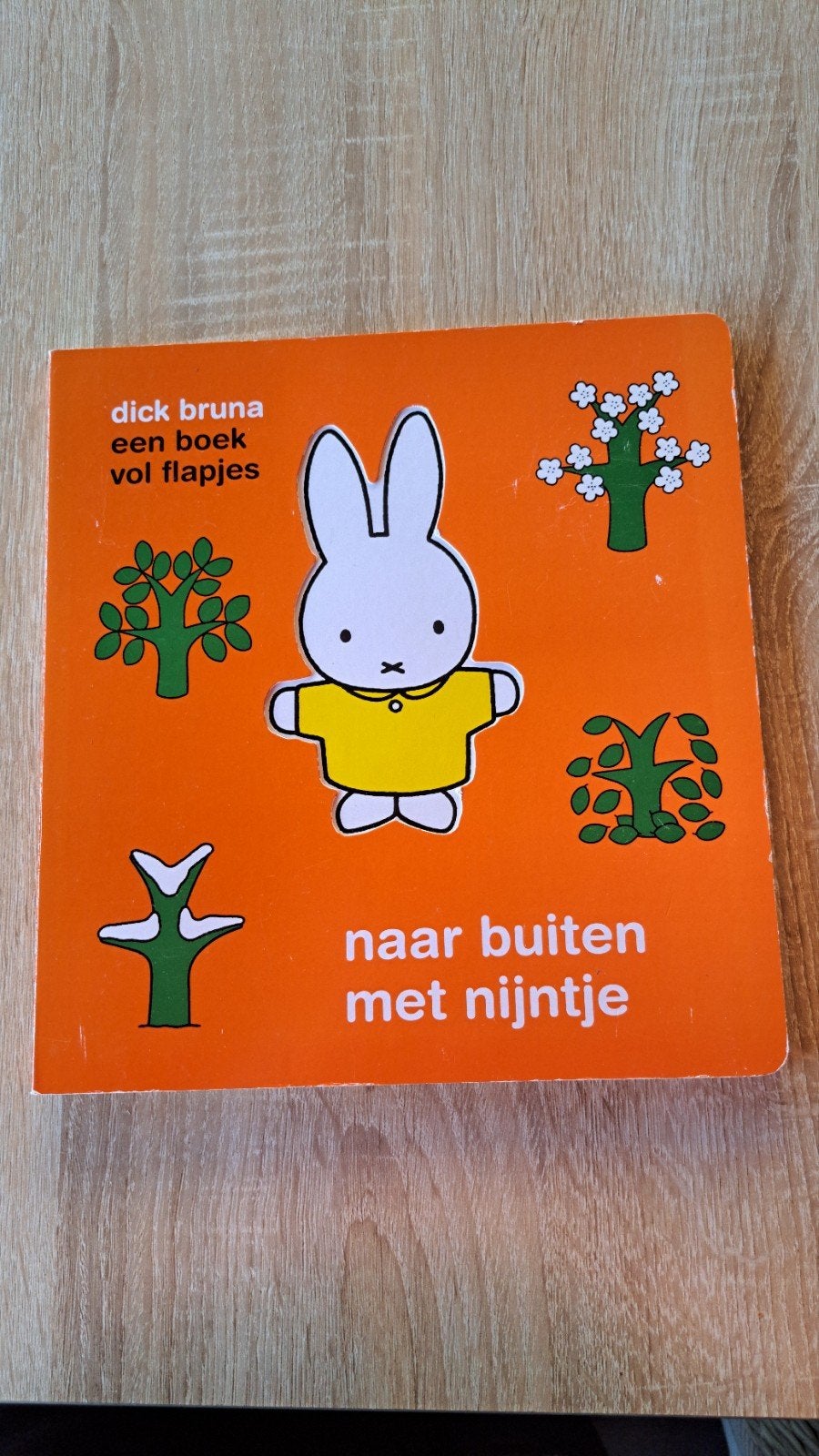 Nijntje naar buiten met Nijntje - Dick Bruna flappenboek, Uitklapboek, Fictie algemeen, Jongen of Meisje, Ophalen of Verzenden