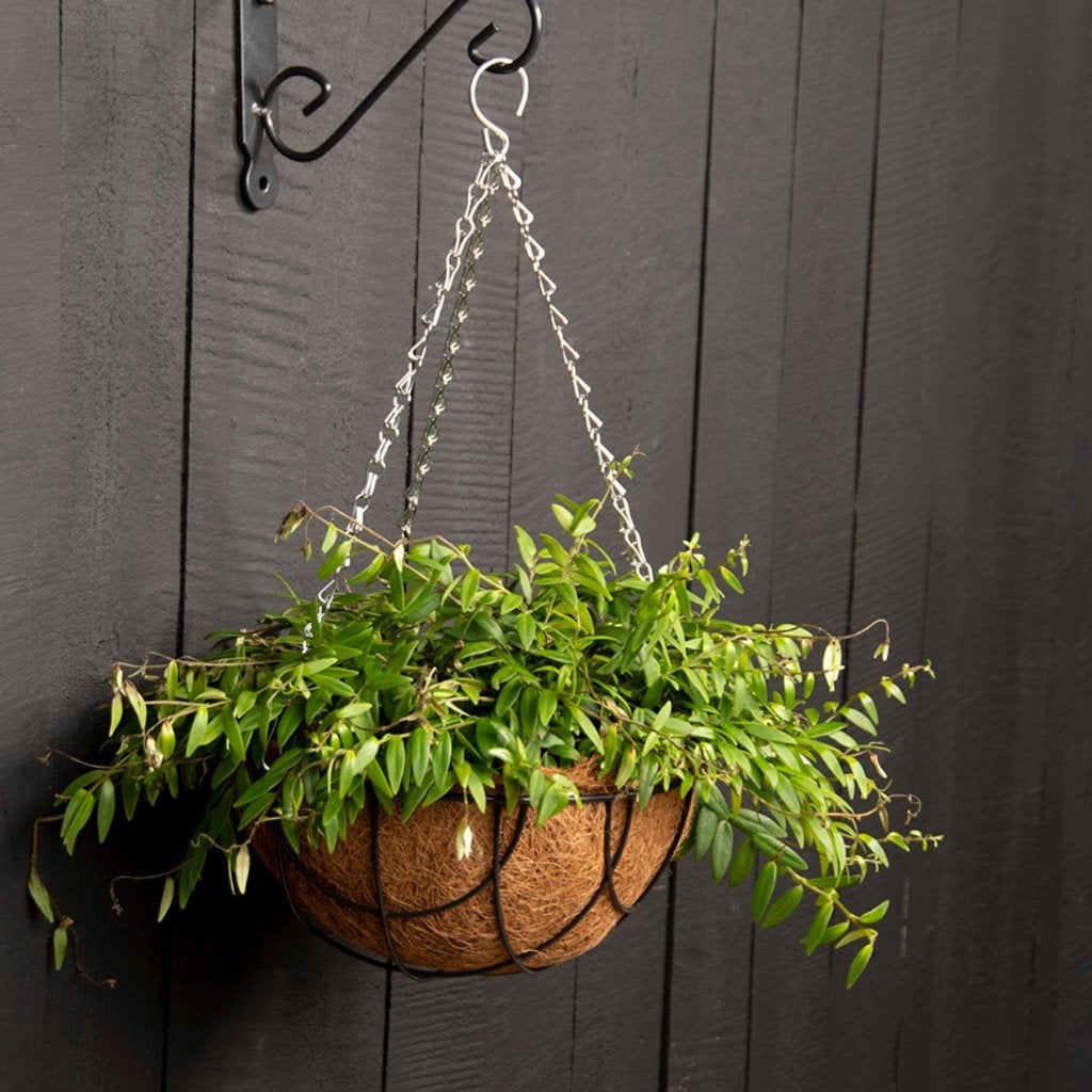 HHanging basket kokosinleg vel voorgevormd NIEUW, Overige materialen, Minder dan 30 cm, Rond, Nieuw