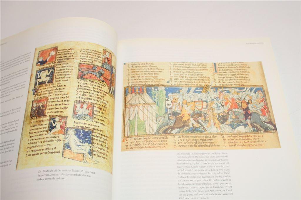 Handgeschreven Wereld — Van Oostrom —Middeleeuwen Literatuur, Ophalen of Verzenden, Gelezen, Europa overig