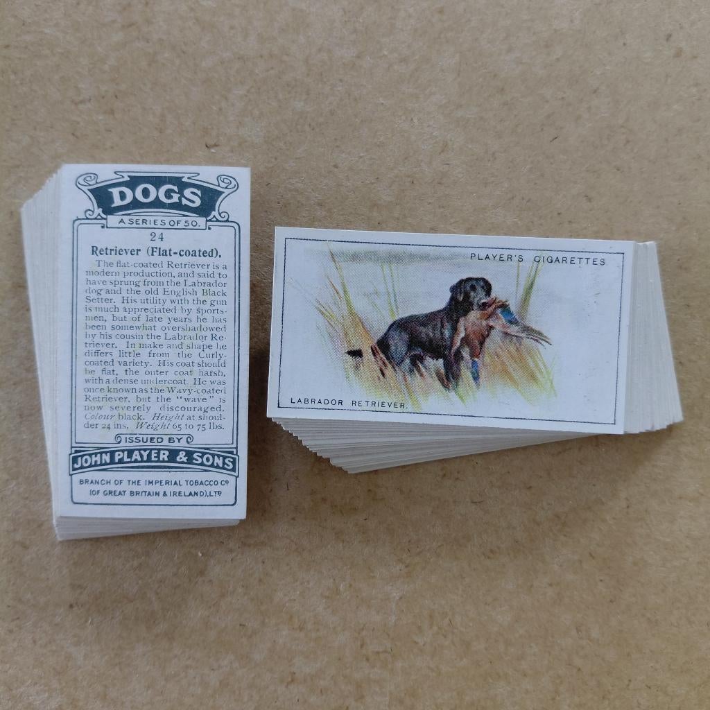 Dogs scenic background complete set 50 cigarette cards 1924, Ophalen