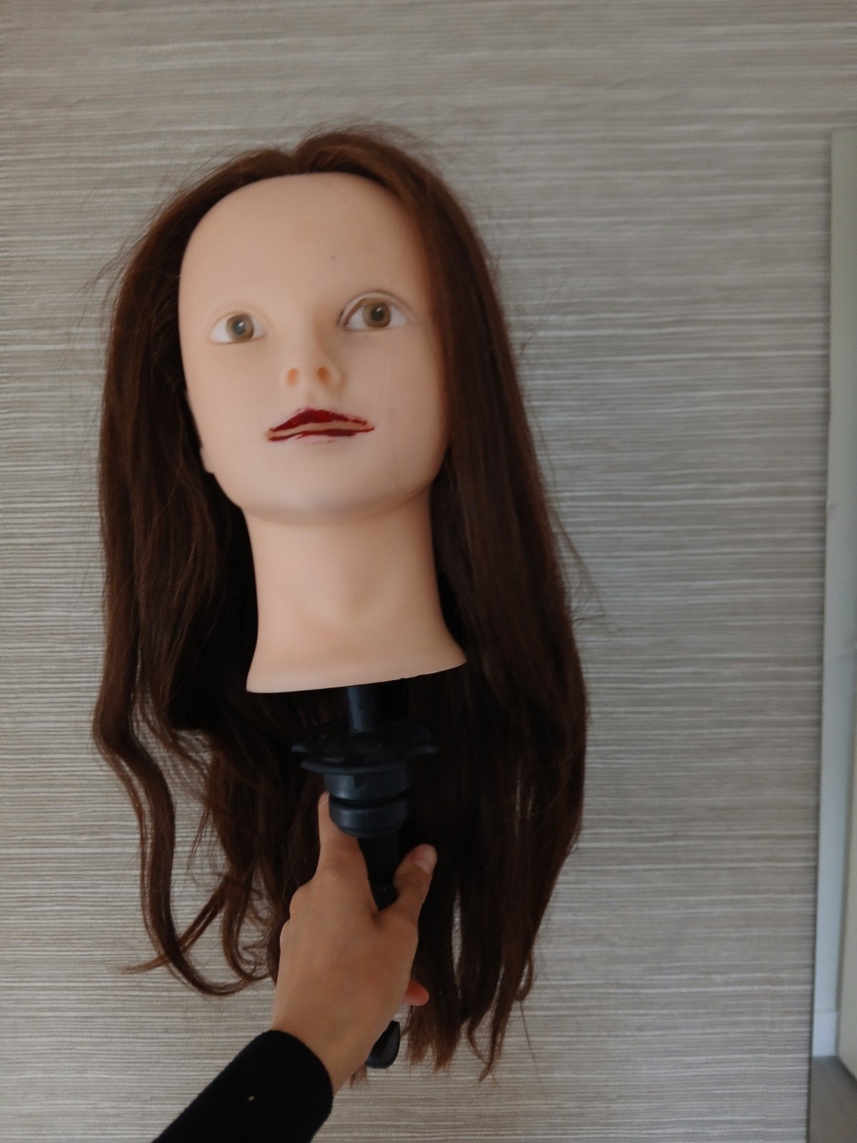 Oefenhoofd met paardenhaar, 45-50 cm, inclusief tafelklem, Ophalen, Gebruikt, Overige typen