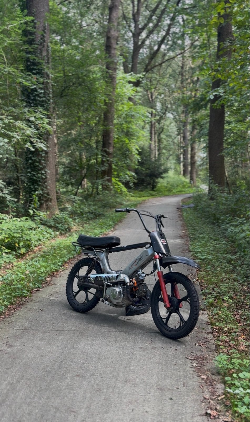 Tomos met 125cc blok, Ophalen, Gebruikt, Maximaal 45 km/u, Overige modellen