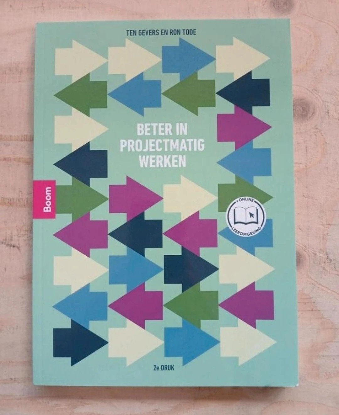 Beter in Projectmatig Werken - 2e druk NIEUW VASTE PRIJS, Nieuw, Ten Gevers en Ron Tode, Gamma, HBO