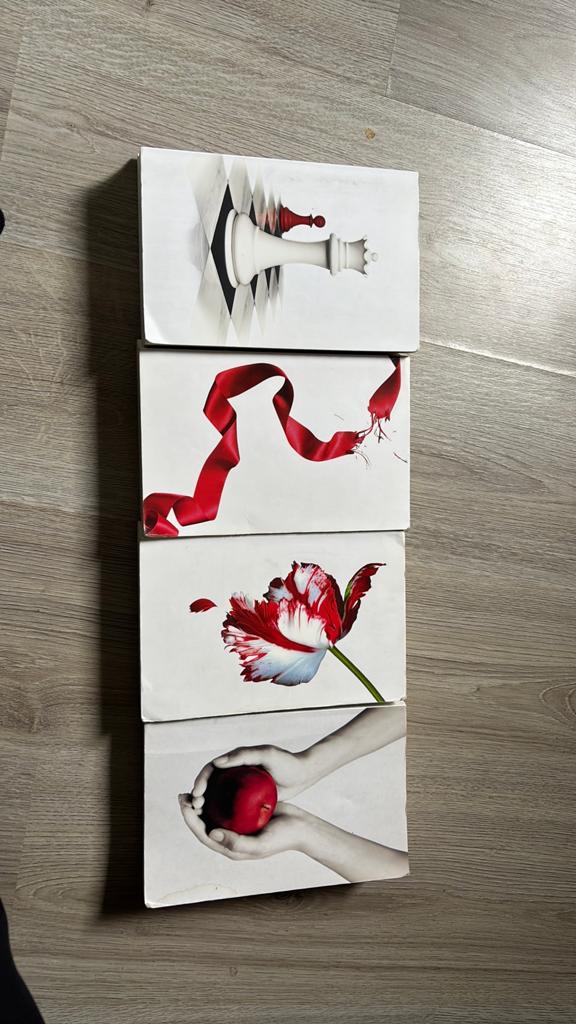 Twilight Saga boekenreeks, Ophalen of Verzenden, Zo goed als nieuw