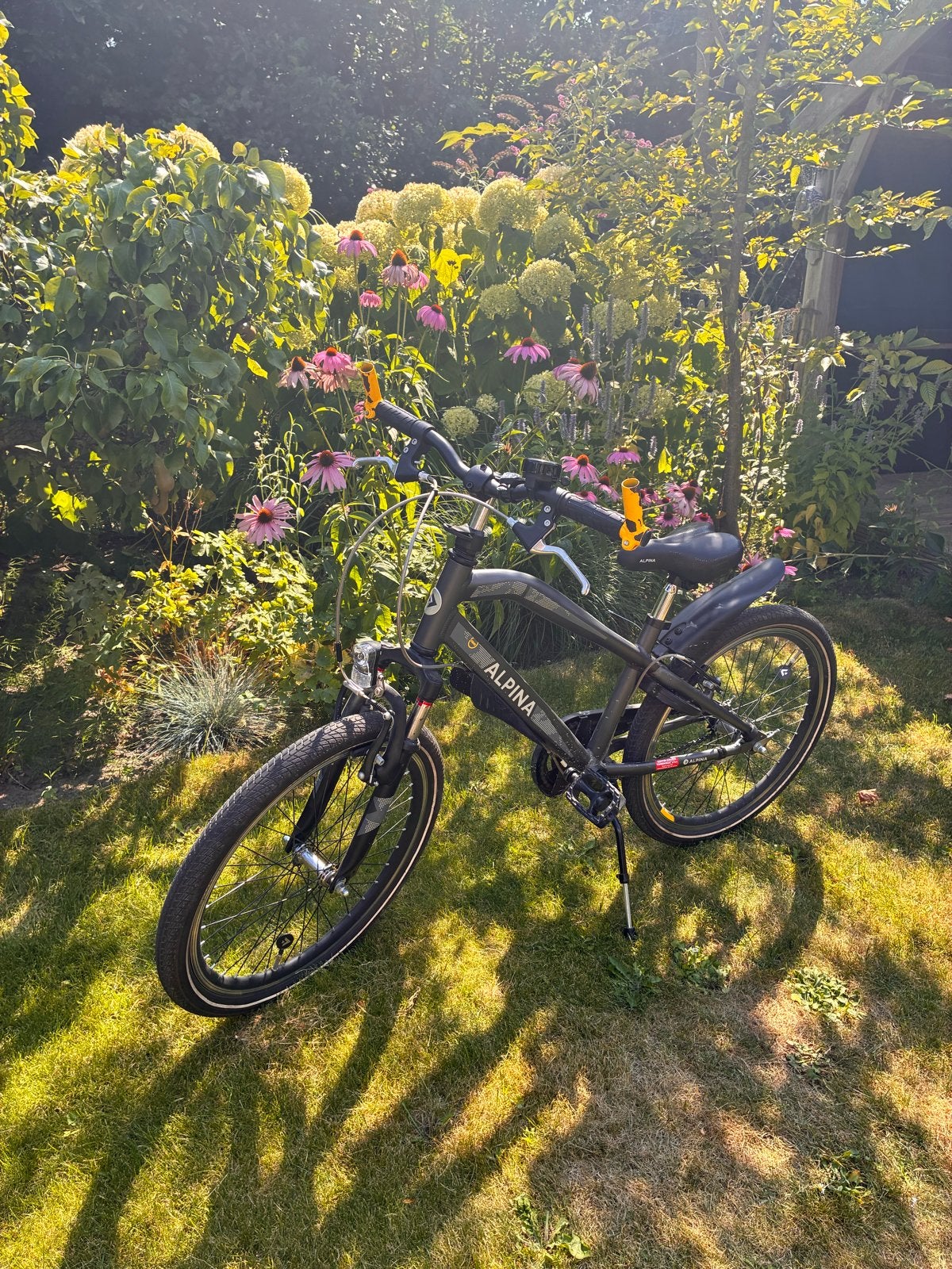 Alpina Trial kinderfiets 22 inch, Ophalen, Zo goed als nieuw, Velgrem, 20 inch of meer
