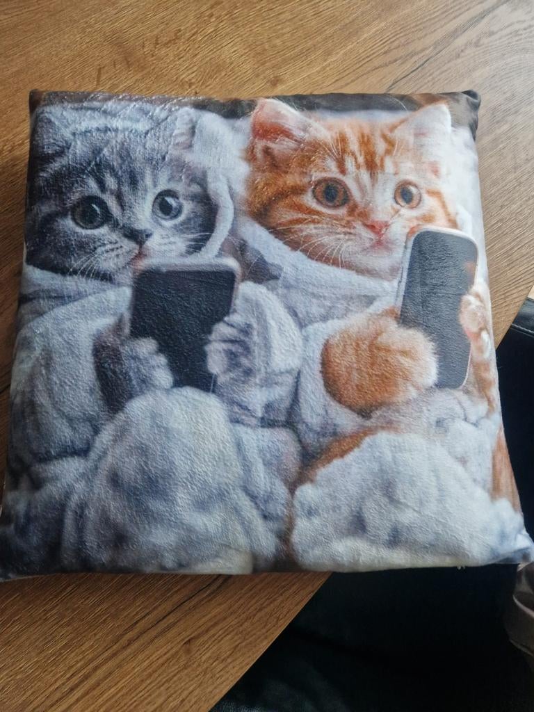 Kussen met 2 schattige katten die appen, Ophalen, Zo goed als nieuw, Grijs, Vierkant