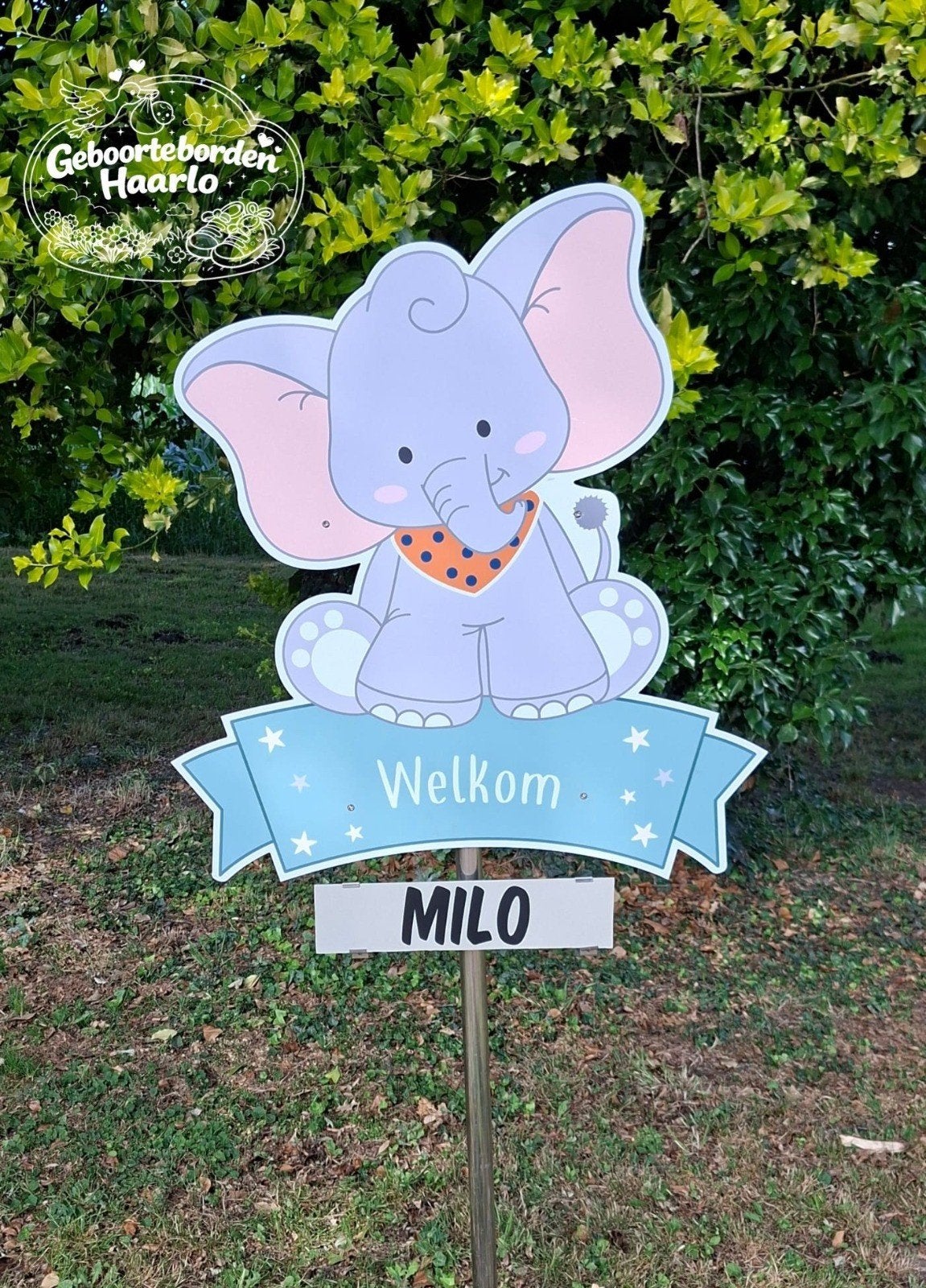 Te huur Geboorteborden Haarlo, Ooiervaarbord zebrabord enz, Ophalen