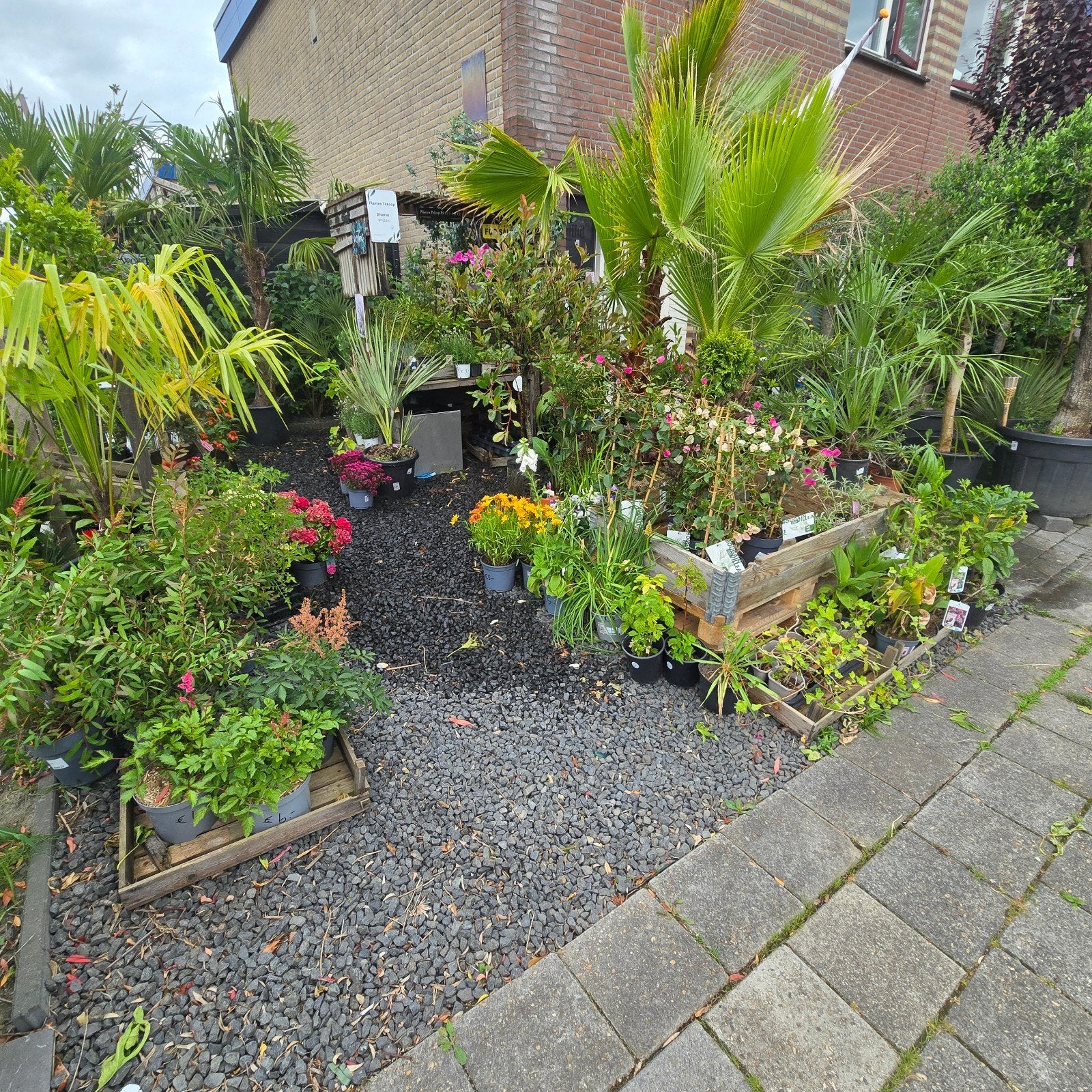Stekjes, Planten & Pure Honing  verkoop kraam Drachten, Ophalen