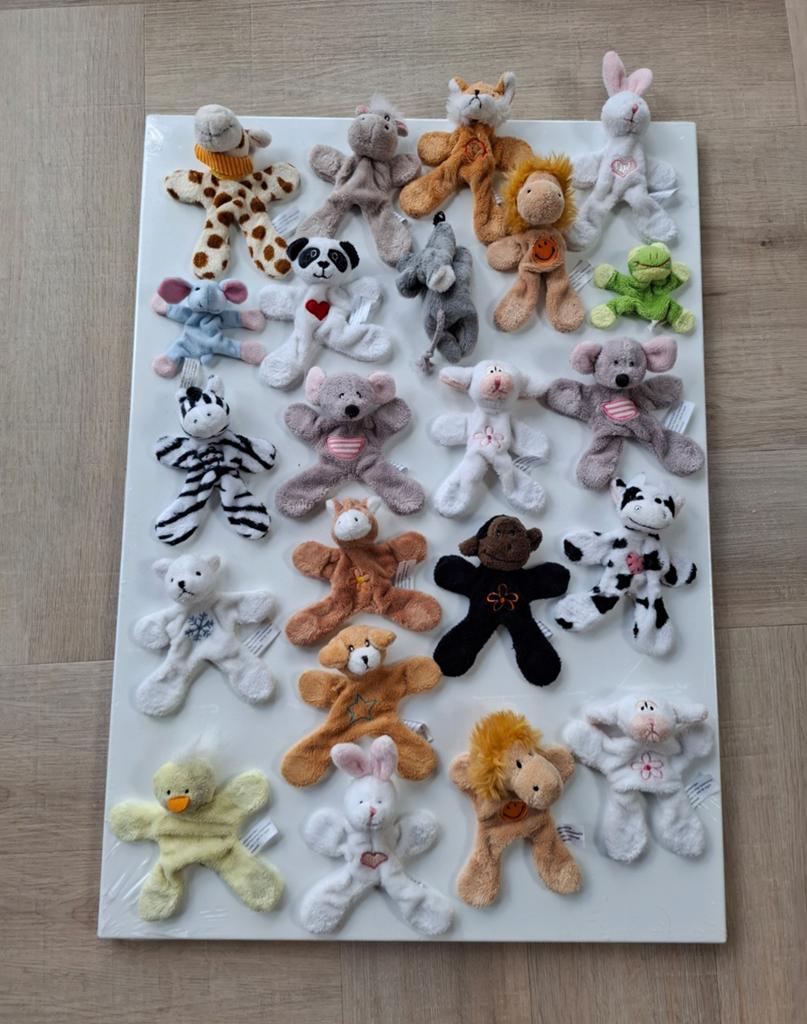 Nieuw magneetbord 50 x 70 cm met dierenmagneten, Ophalen, Nieuw, Overige typen