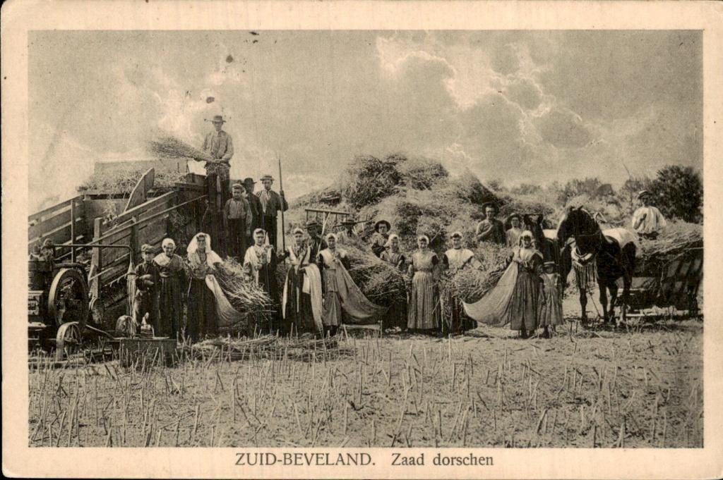 Zuid-Beveland - Zaad dorschen - Zaad dorschen, Verzamelen, Ophalen of Verzenden, 1920 tot 1940, Gelopen, Zeeland