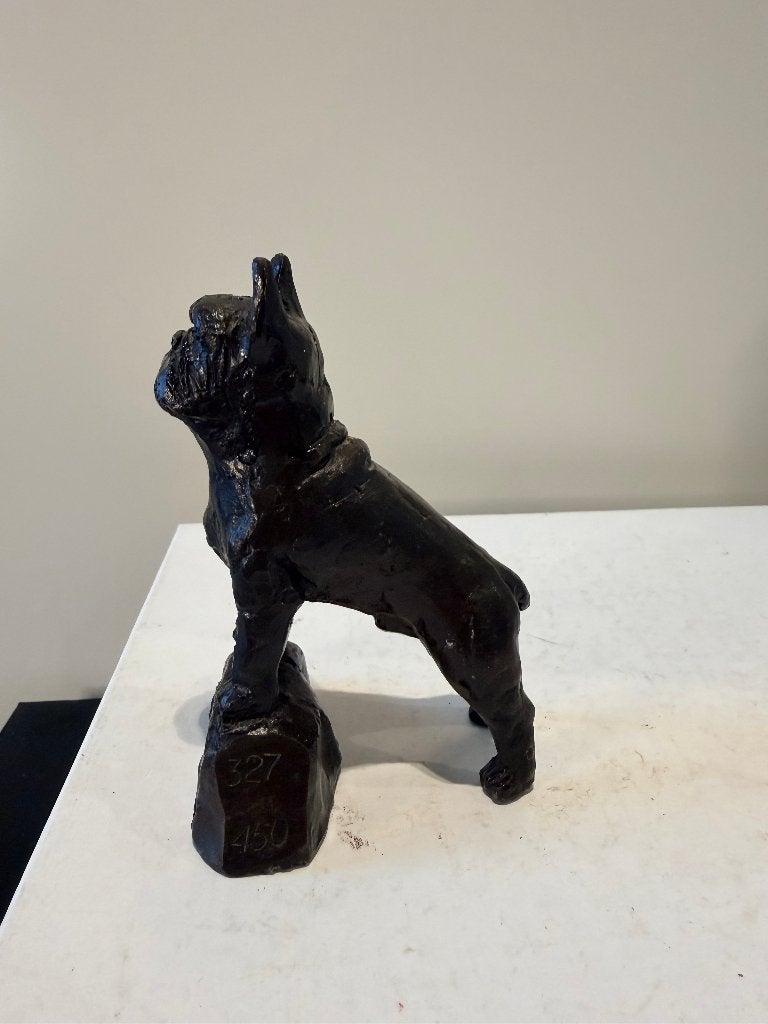 Hollandse Bulldoggen Club, Franse Bulldog, jubileum 75 jr, Ophalen of Verzenden, Brons