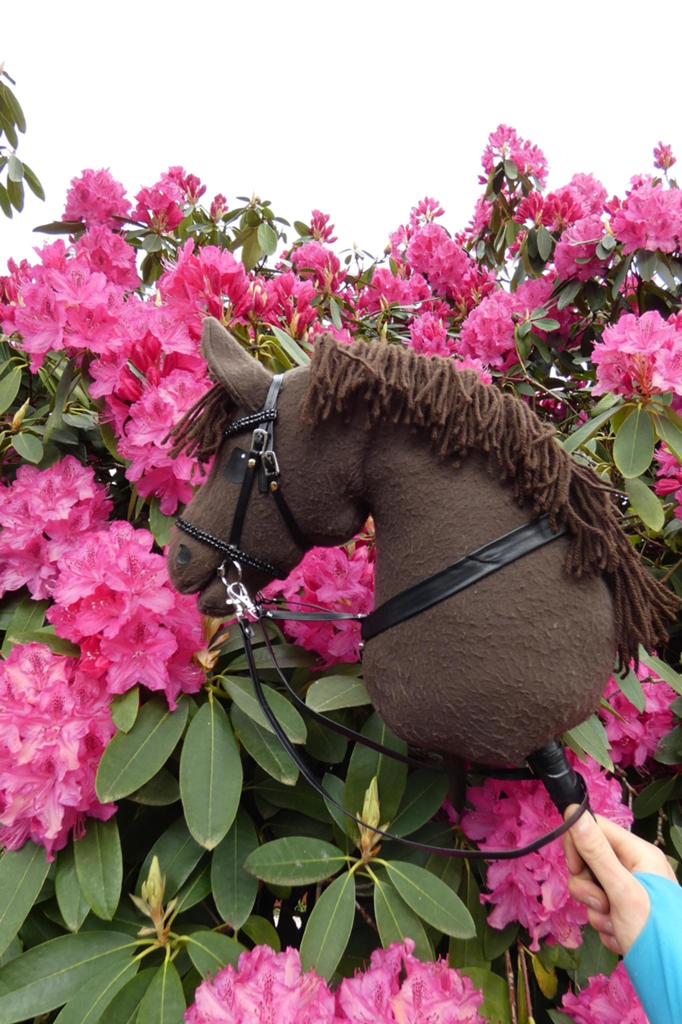 Hobby horse met martigaal en hoofdstel, Hobby en Vrije tijd, Ophalen, Zo goed als nieuw