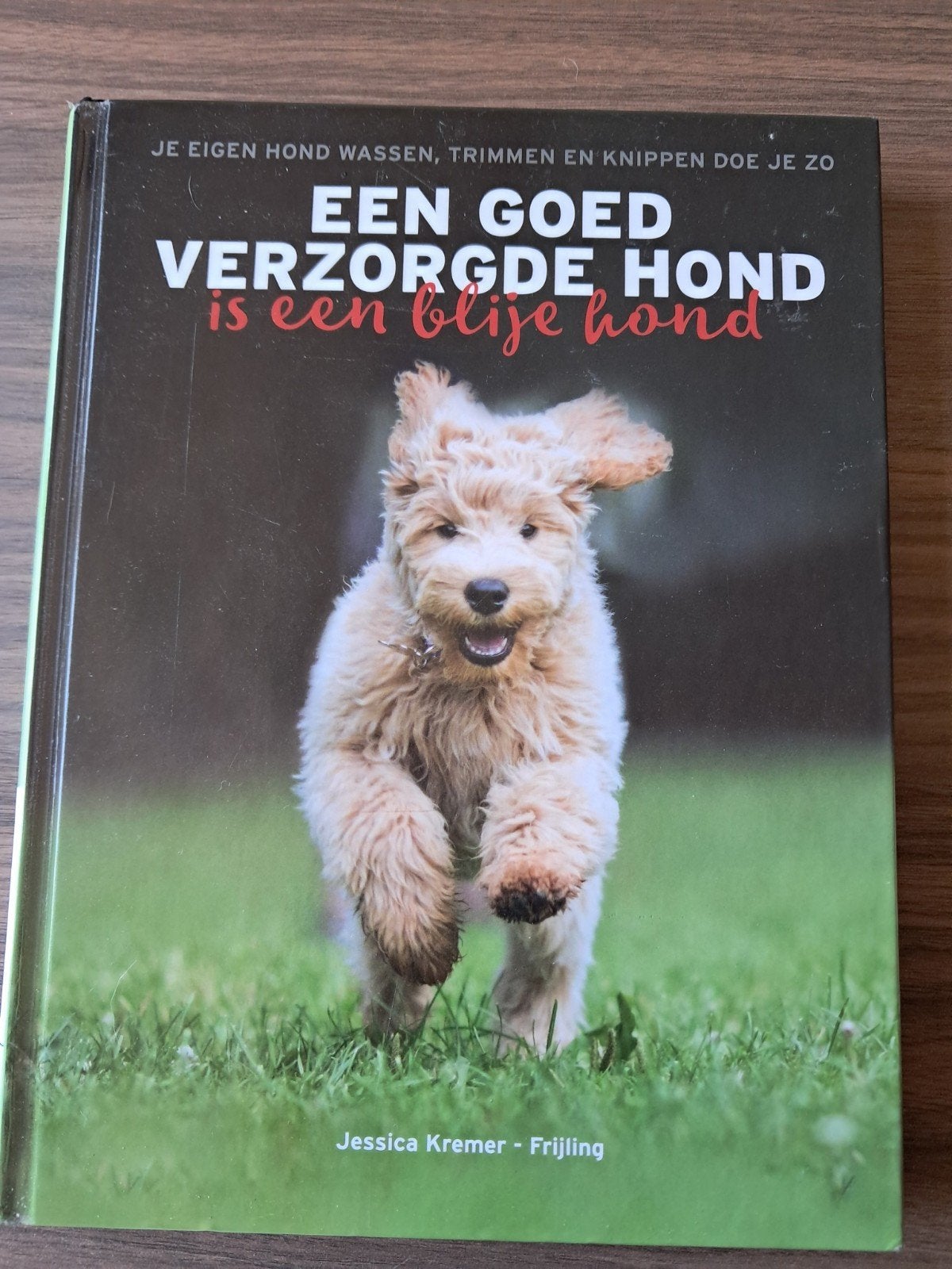 Een goed verzorgde hond is een blije hond - boek, Boeken, Ophalen of Verzenden, Gelezen, Honden, Jessica Kremer-Frijling