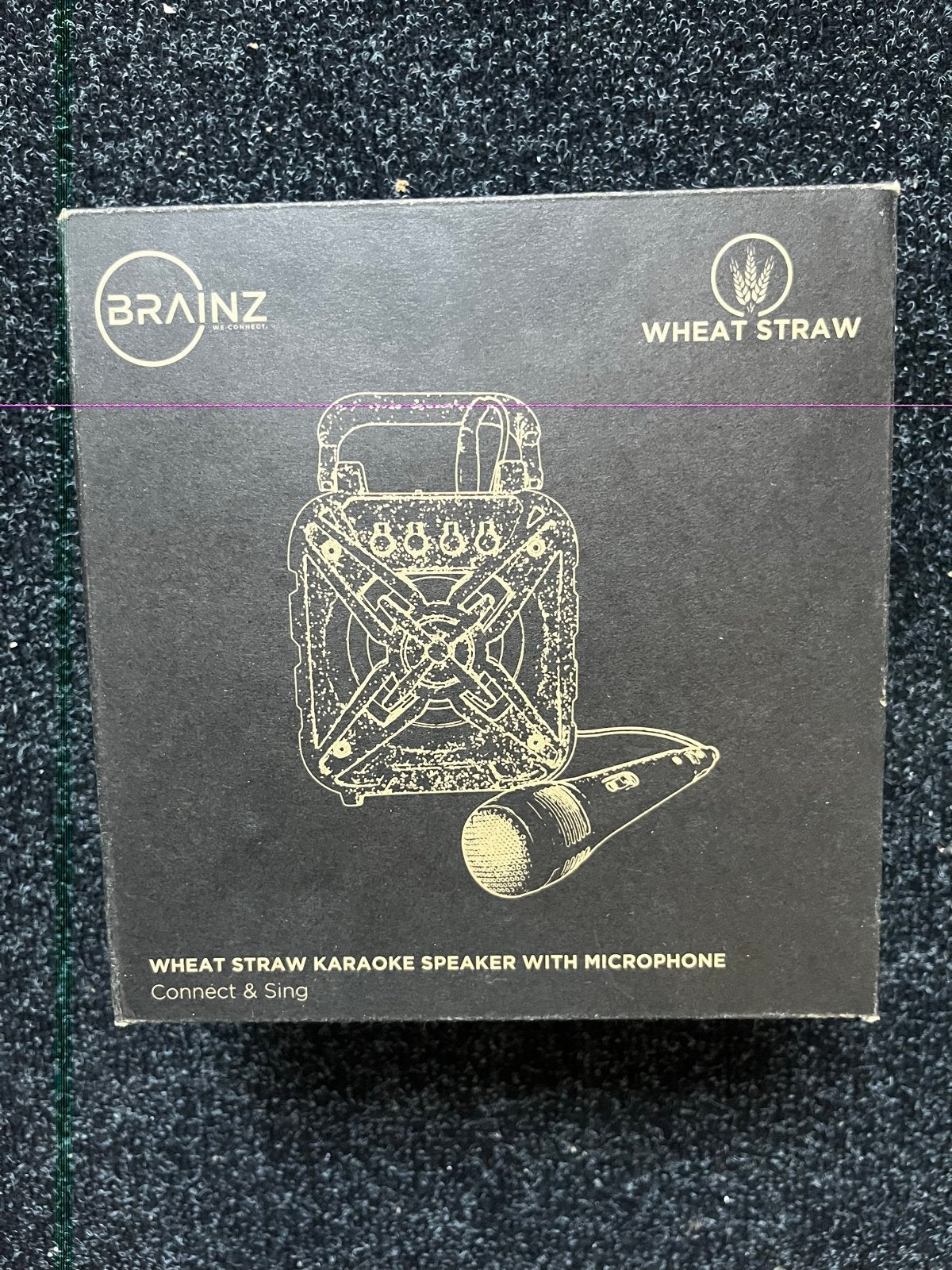 BRAINZ S40 Karaoke Speaker met Microfoon - Nieuw, Ophalen of Verzenden, Nieuw, Luidspreker(s)