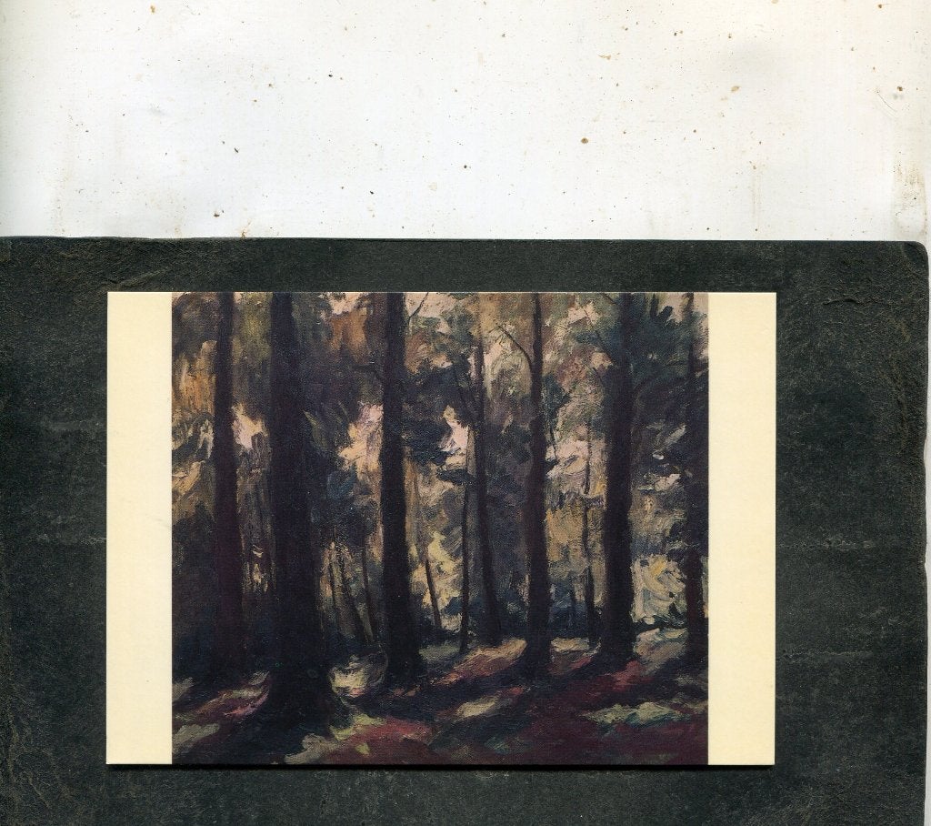 Ansicht Richard Heintz - La foret Saint Michel, Verzenden, 1980 tot heden, Ongelopen, Overige thema's