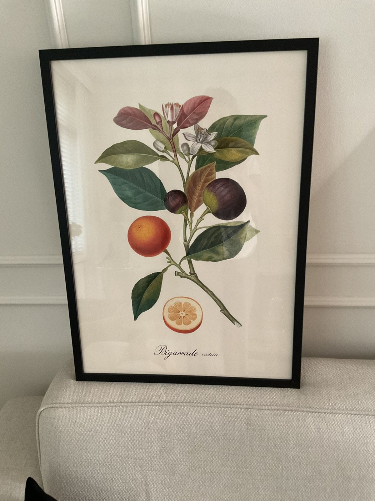 Leuke prent van fruit, Ophalen of Verzenden, Zo goed als nieuw, Schilderij, Minder dan 50 cm