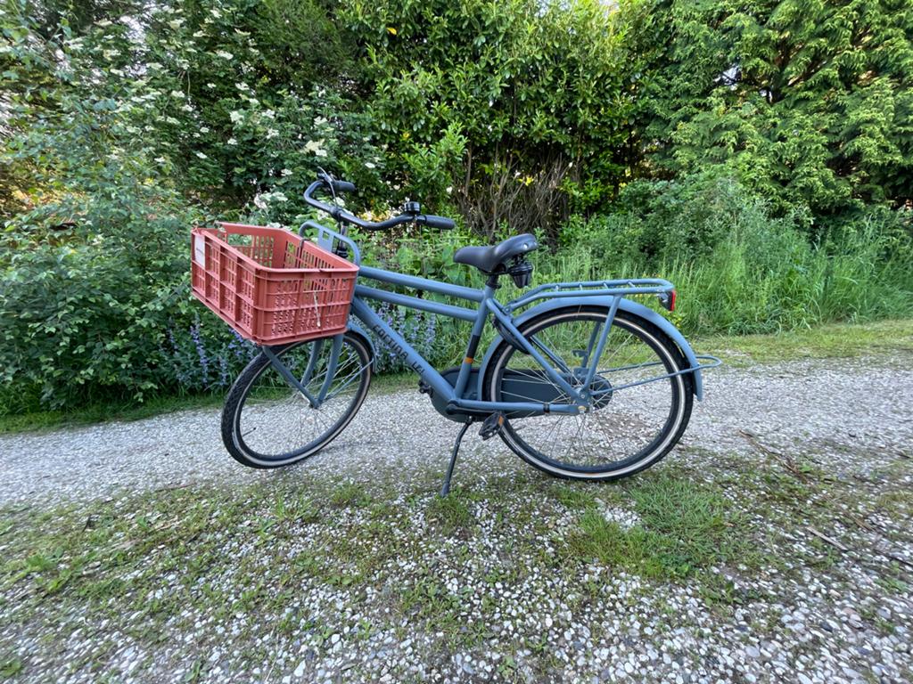 Jongensfiets Cortina u4, Terugtraprem, Gebruikt, Versnellingen, Minder dan 47 cm