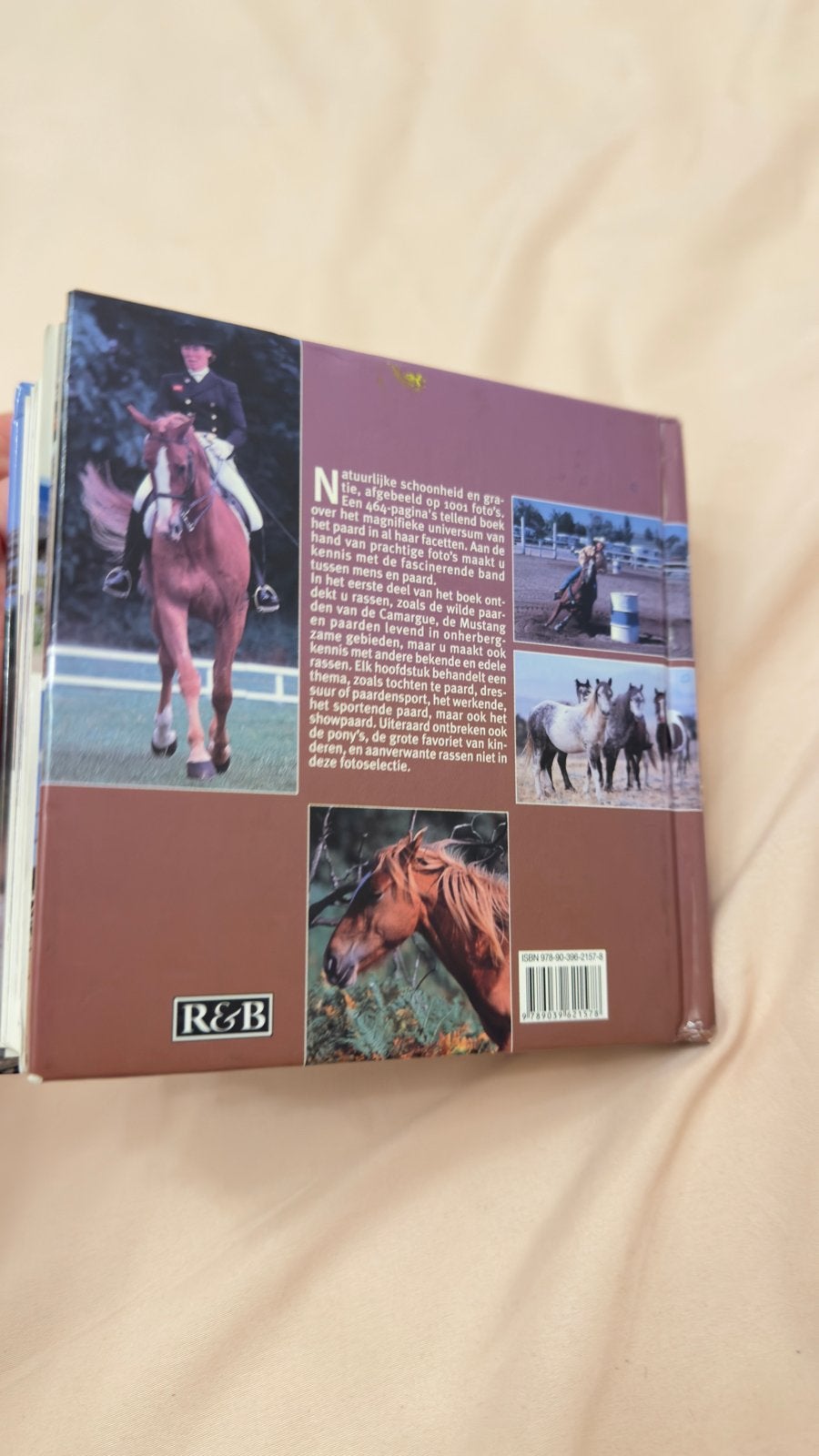 Paarden kubus boek - R&B, Ophalen of Verzenden, Gelezen, Overige onderwerpen