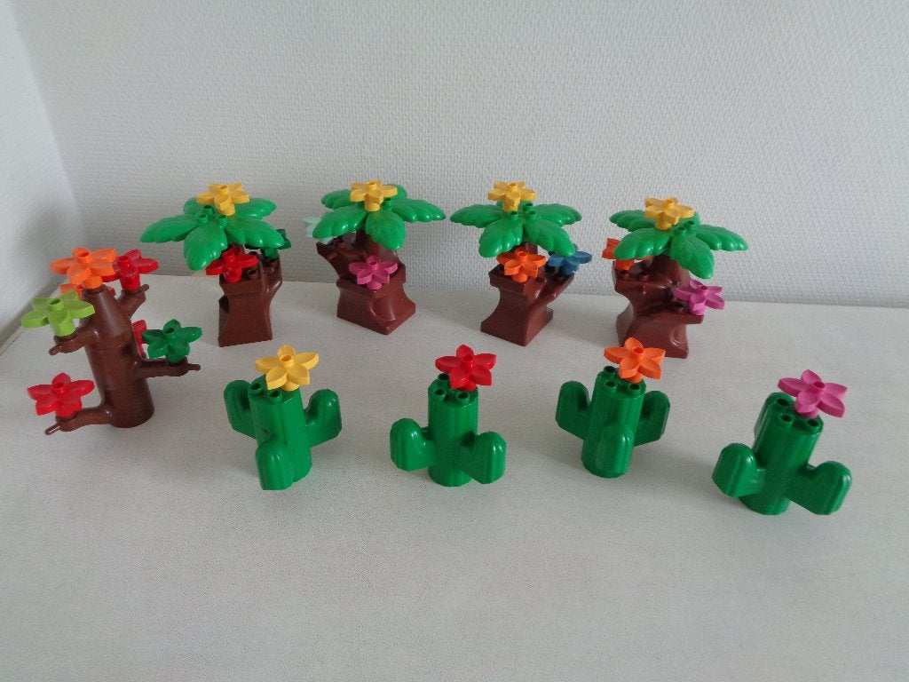 Duplo bomen en cactussen., Ophalen of Verzenden, Zo goed als nieuw, Duplo
