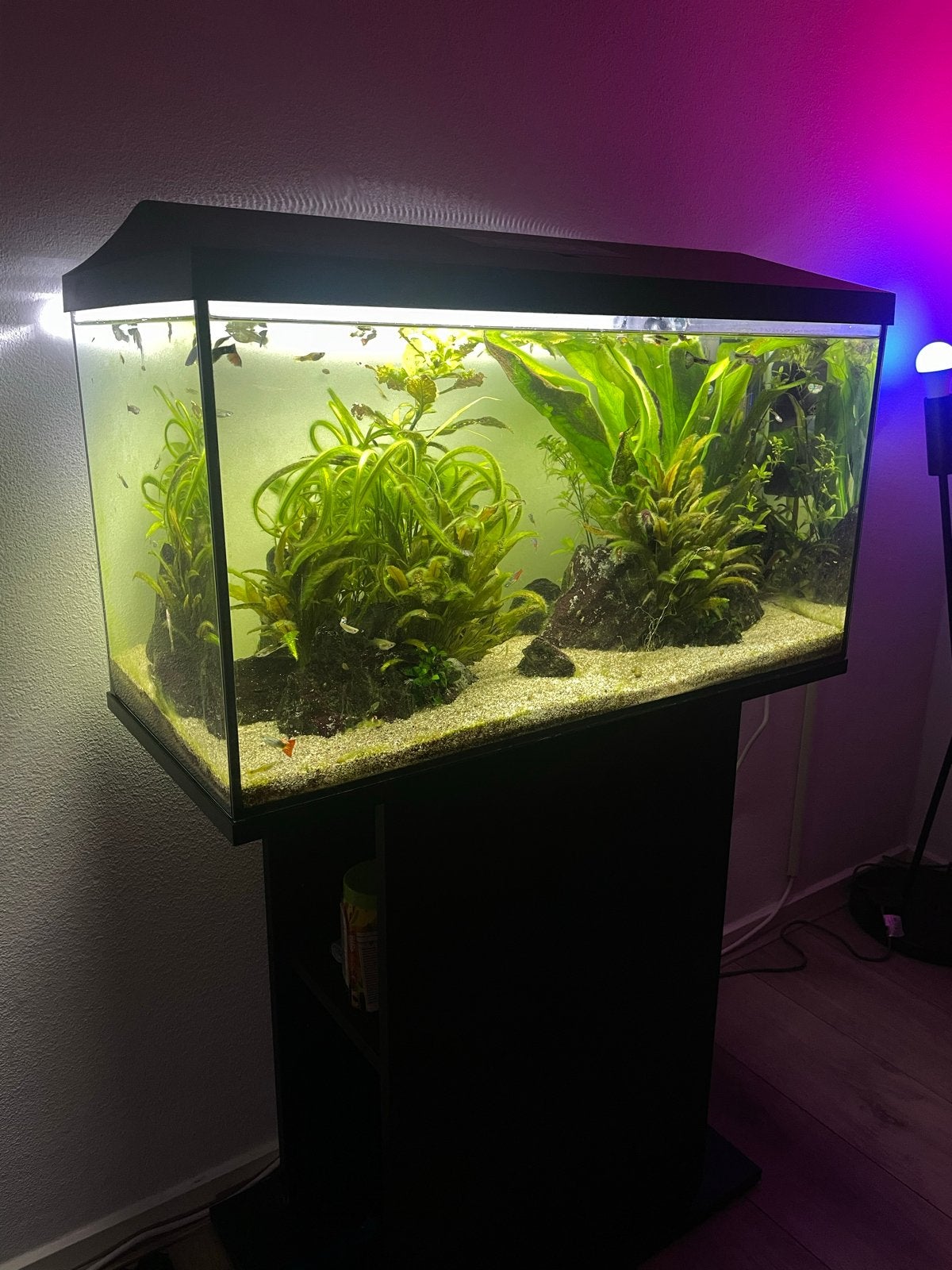 Aquarium 105 Liter met kast, Dieren en Toebehoren, Vissen | Aquaria en Toebehoren, Ophalen, Leeg aquarium
