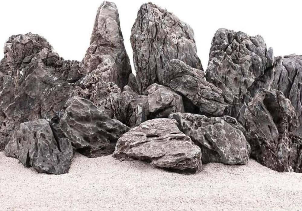 Gezocht Aquariumstenen en Hout voor opvang, Ophalen of Verzenden, Gebruikt, Plant(en), Steen of Hout