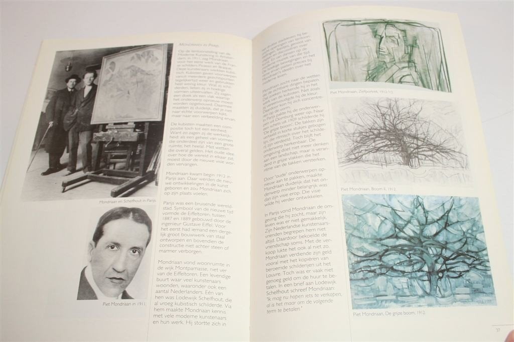 Mondriaan voor Beginners — Zijn Leven & Werk, Boeken, Ophalen of Verzenden, Zo goed als nieuw