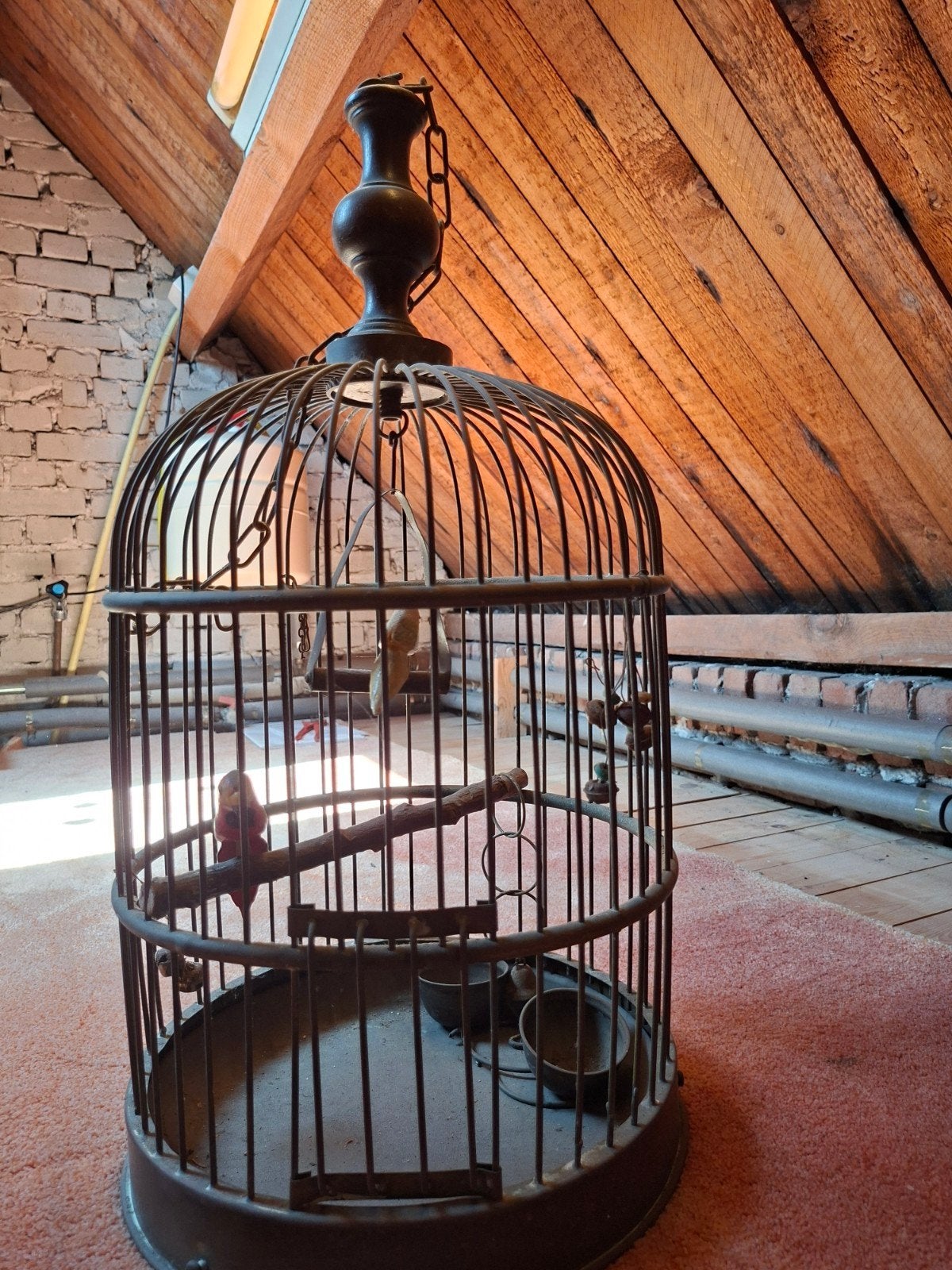 Vogelkooitje, Ophalen, Gebruikt, Metaal, Vogelkooi