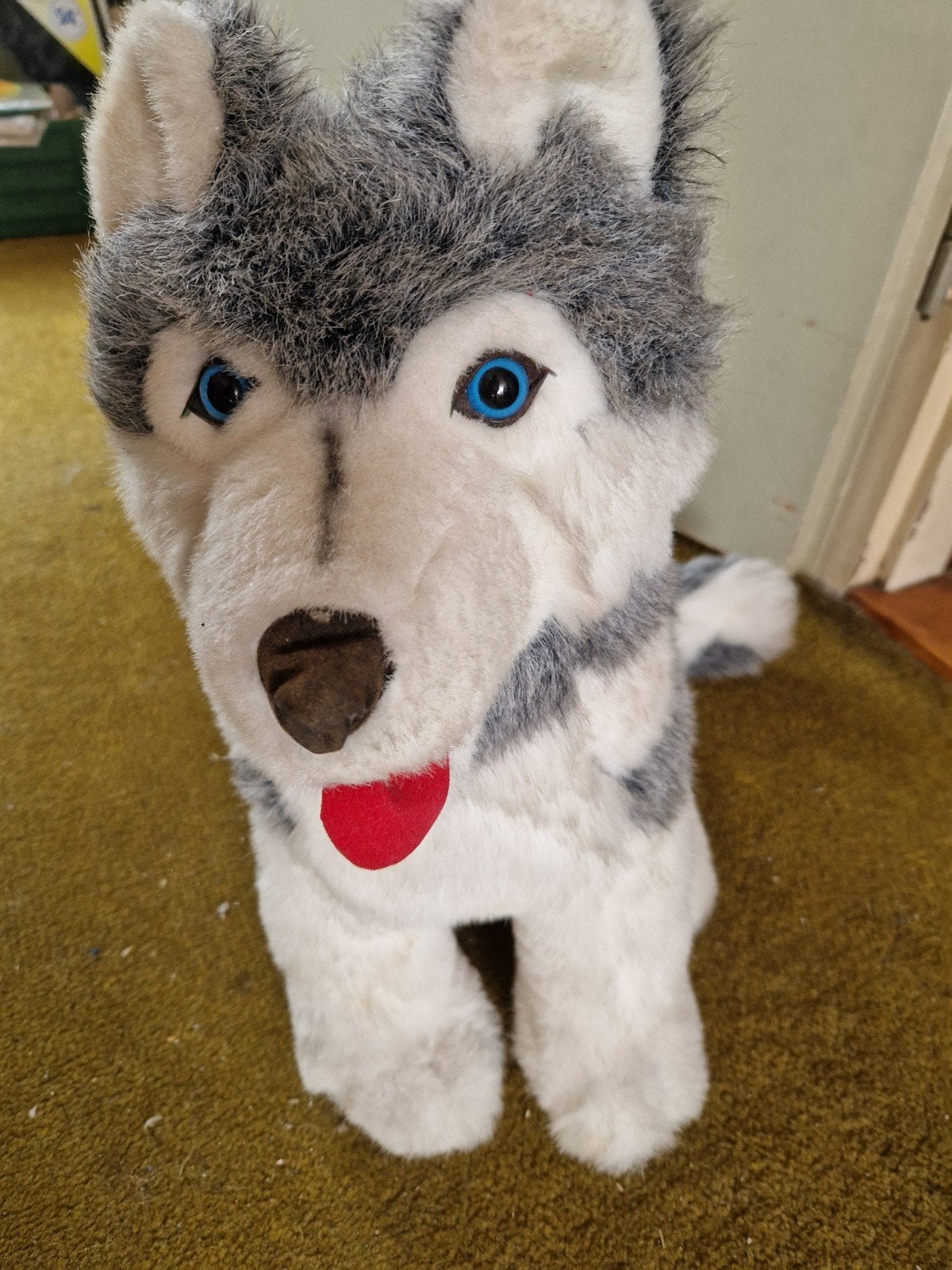 Grote knuffel husky hond - Zo goed als nieuw, Overige merken, Overige karakters, Grijs, Zo goed als nieuw