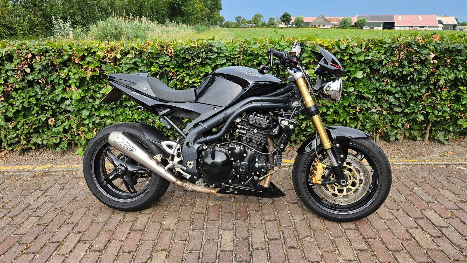 Triumph Speedtriple 1050 2006, Particulier, Naked bike