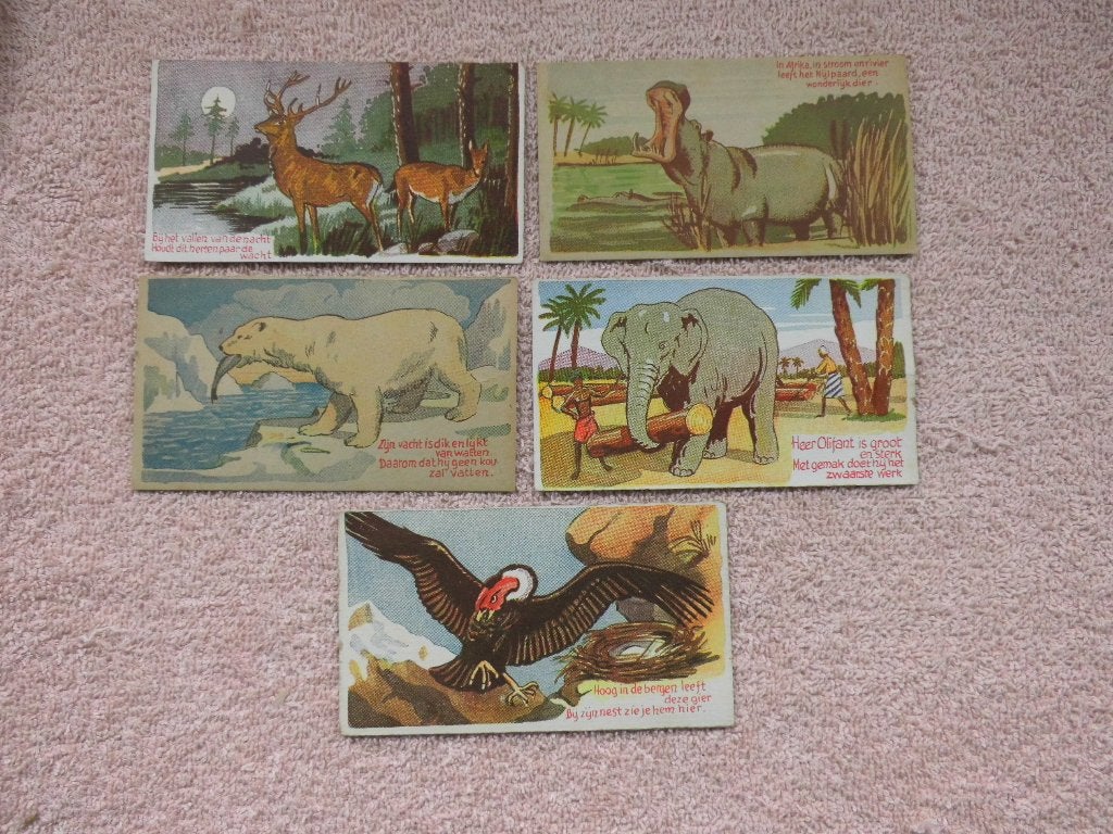 5 mooie zeer oude dieren ansichtkaartjes., Verzamelen, Ophalen of Verzenden, Voor 1920, Ongelopen, Wild dier