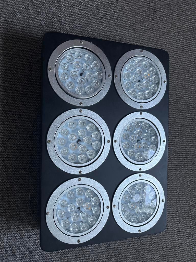 LED Kweeklamp 300W voor optimale plantengroei, Tuin en Terras, Kweekspullen, Ophalen of Verzenden, Gebruikt, Kweeklamp