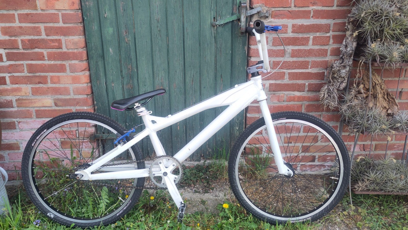 bmx met 24 inch wielen, Ophalen, Gebruikt, Staal, 24 inch of meer