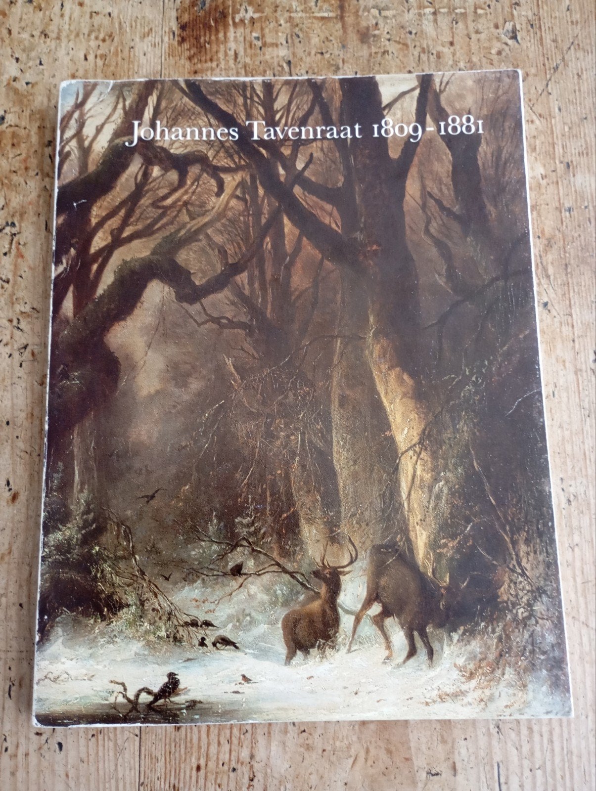 Johannes Tavenraat 1809-1888, Ophalen of Verzenden, Zo goed als nieuw, Overige typen