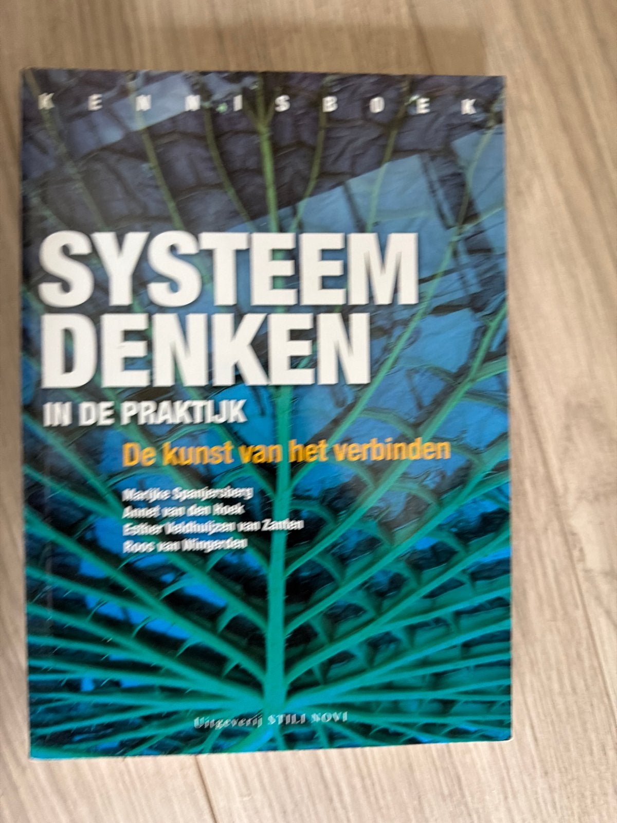 Systeemdenken in de praktijk - De kunst van het verbinden, Boeken, Ophalen of Verzenden, Alpha, Zo goed als nieuw, HBO