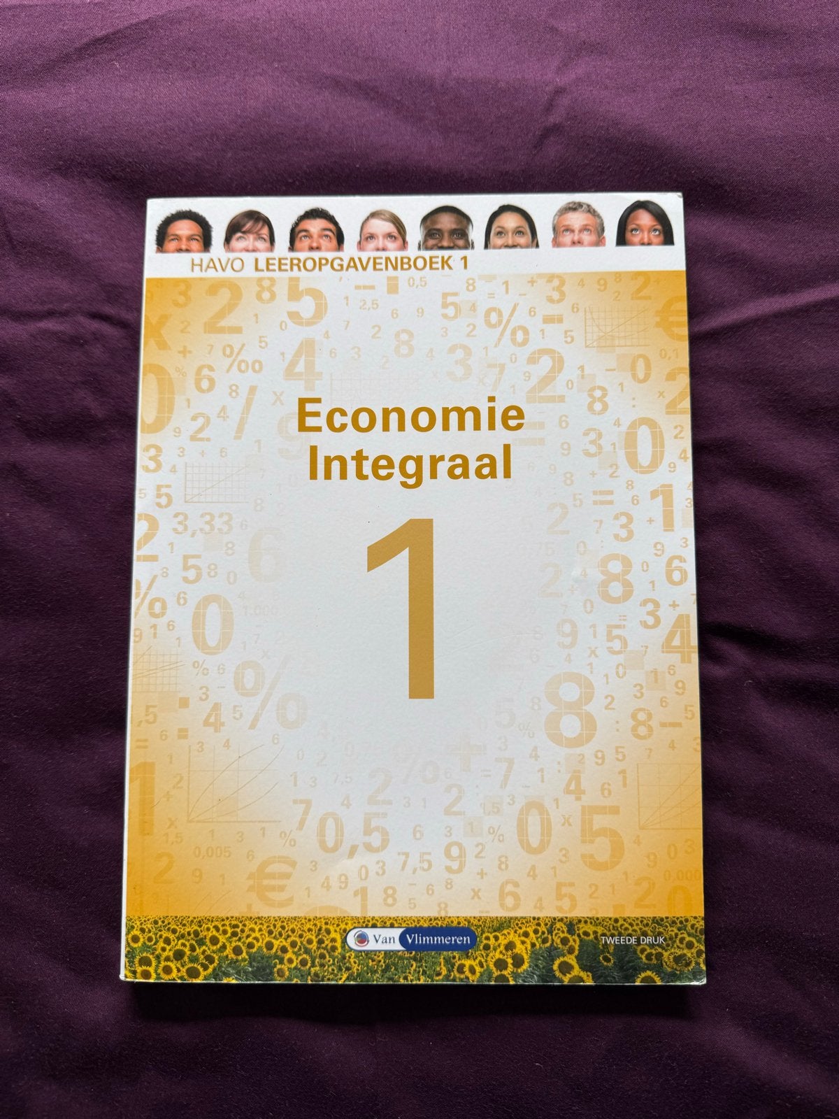 Economie Integraal HAVO Leeropgavenboek 1, Ophalen of Verzenden, Gelezen, HAVO, Economie