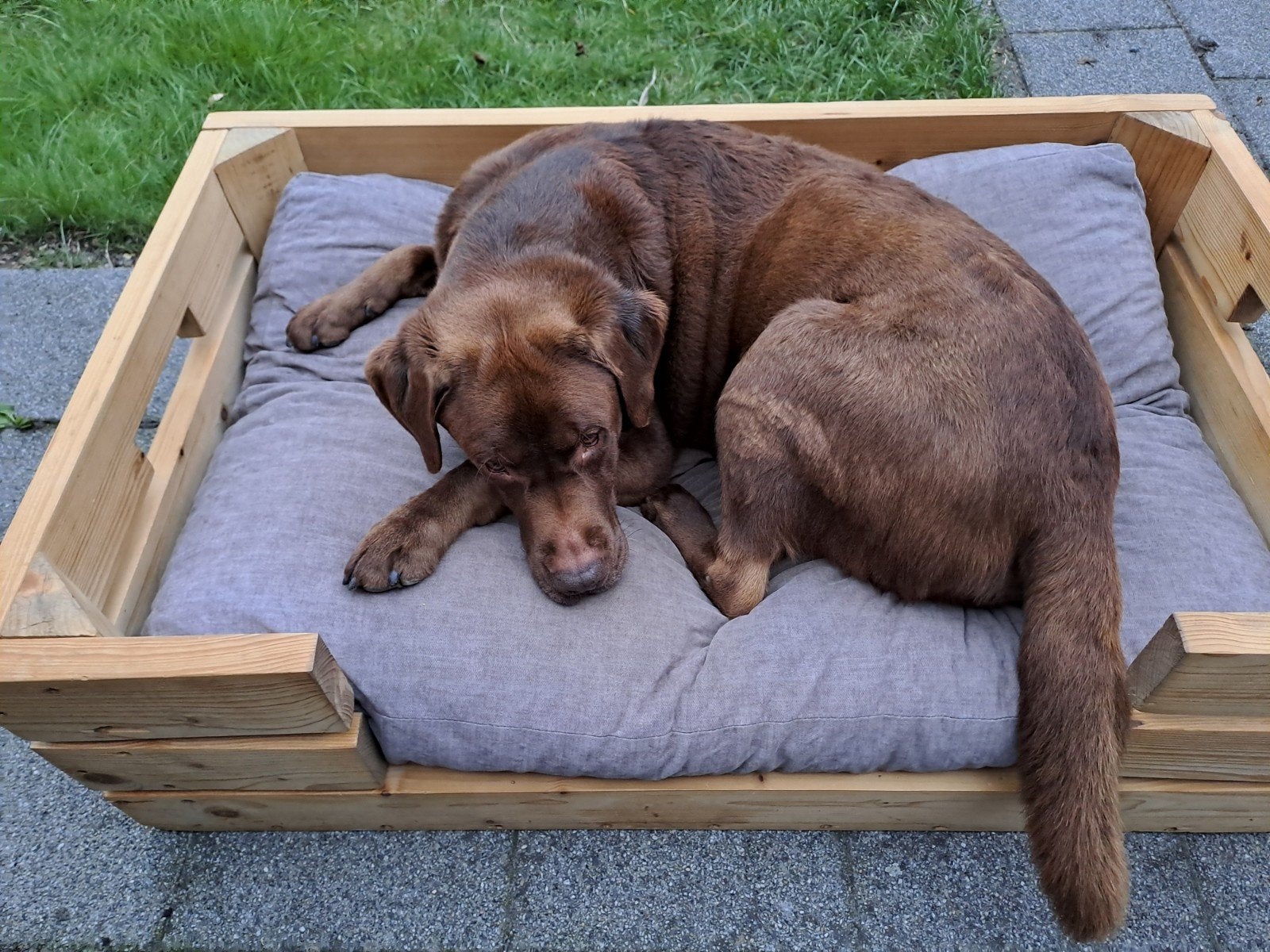 houten hondenbak voor middelgrote hond, Ophalen, Gebruikt, Overige