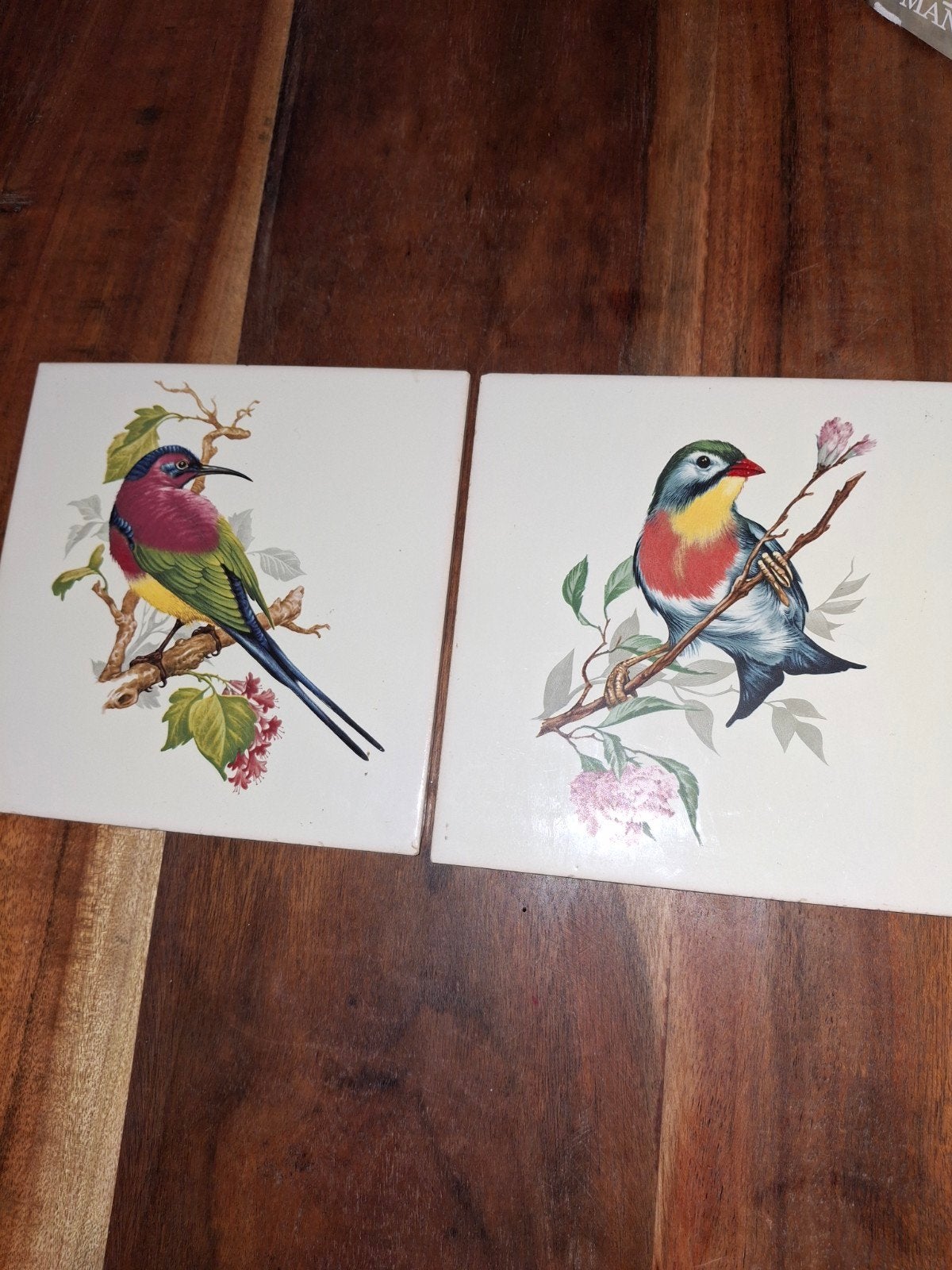 Tegels  Karmijnrode Bijeneter en Zilveroornachtega, Ophalen of Verzenden